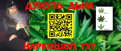 дмт Будённовск