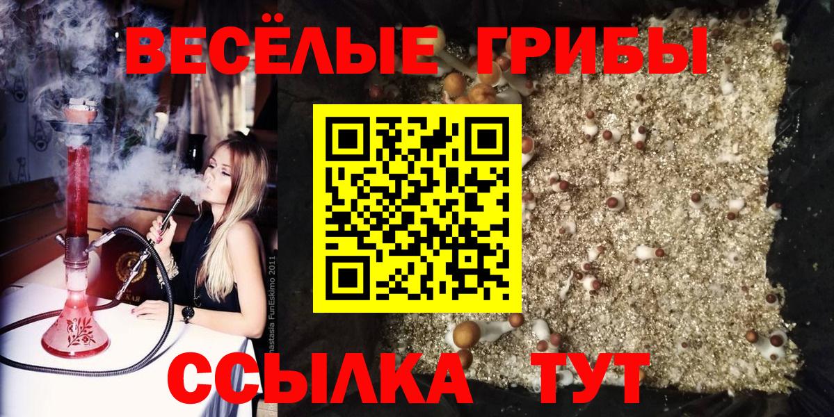 Галлюциногенные грибы мухоморы  цена наркотик  Светлоград  Галлюциногенные грибы Cubensis  Вход с VPN 